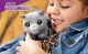 Mèo bông tương tác FurReal Newborns Kitty của Hasbro. - Ảnh 8